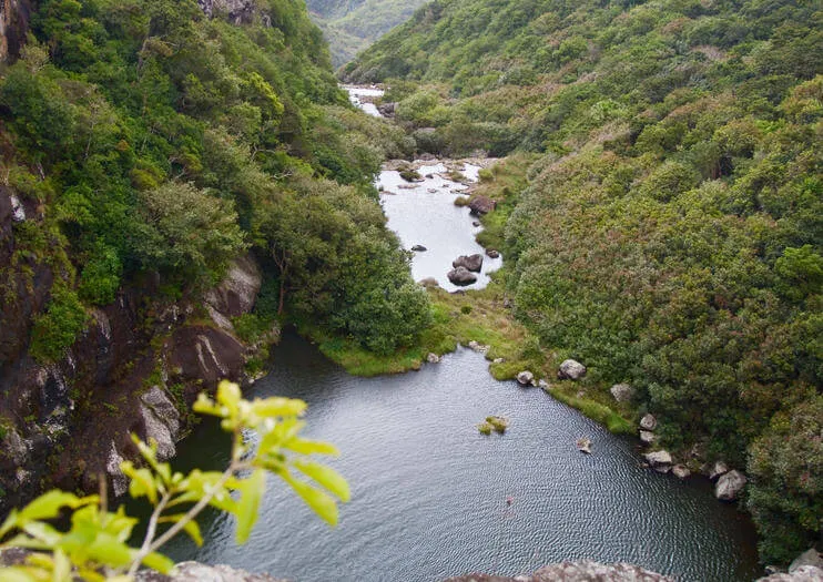 Rivière-Noire-District-Black-River-District