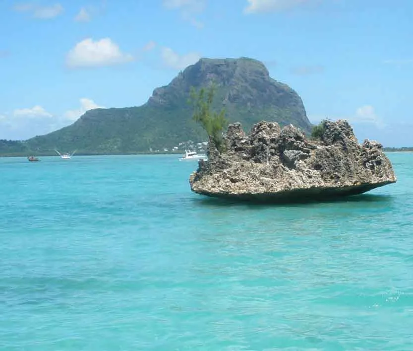 île